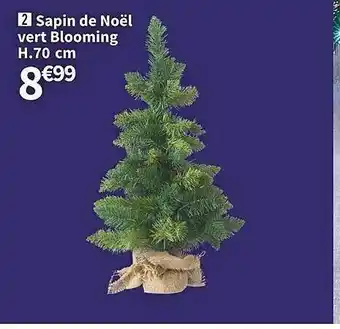 Conforama Sapin de noël vert blooming h.70 cm offre