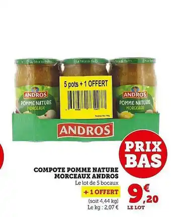 Super U Compote pomme nature morceaux andros offre