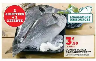 Hyper U Dorade royale d'aquaculture offre