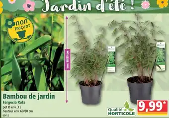 Norma Bambou de jardin offre