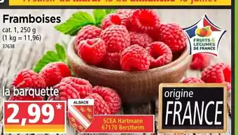 Framboises