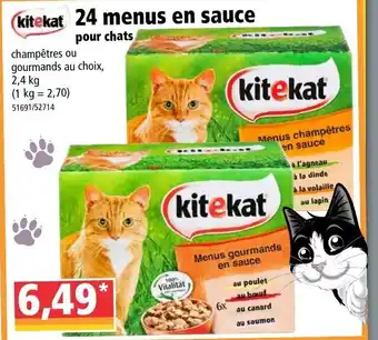 Norma 24 menus en sauce offre
