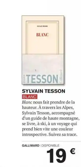 Carrefour Sylvain tesson blanc offre