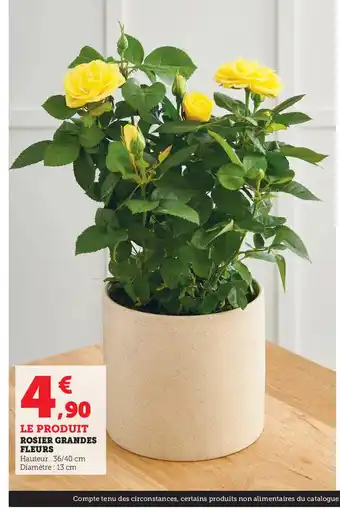 Super U Rosier Grandes Fleurs offre