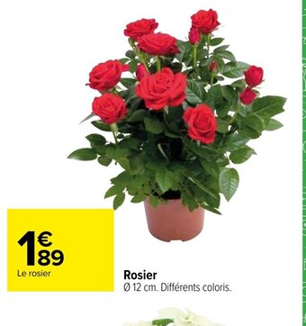 Carrefour Market Rosier offre
