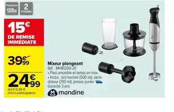 Carrefour Market Mixeur Plongeant offre