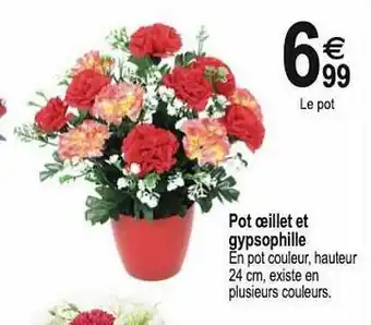 Pot œillet et gypsophille
