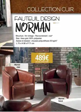 Cocktail Scandinave Fauteuil norman offre