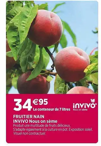 Fruitier nain invivo nous on sème