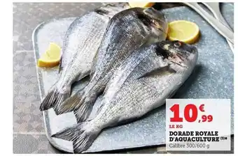 Hyper U Dorade royale d'aquaculture offre