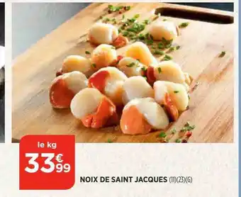 Bi1 Noix de saint jacques offre