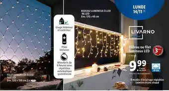 Lidl Rideau ou filet lumineux led livarno home offre
