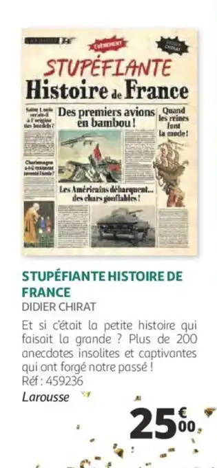 Stupéfiante histoire de france