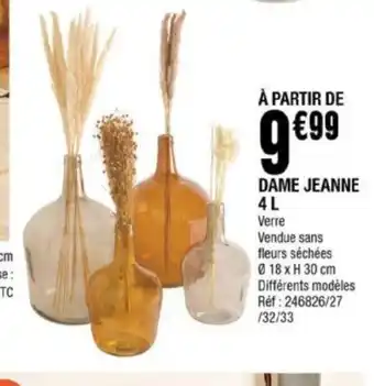 La Foir'Fouille Dame Jeanne 4L offre