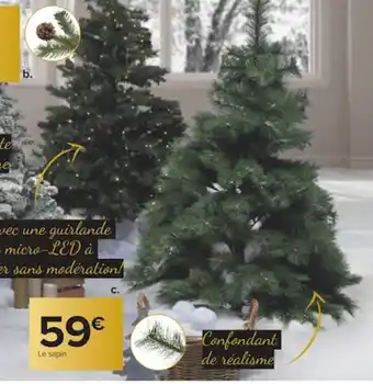Sapin Orion