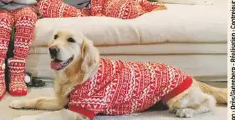 Auchan Inextenso pyjama de noël pour chien offre