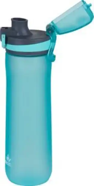 Go Sport Gourde wanabee ecozen 0,65l offre