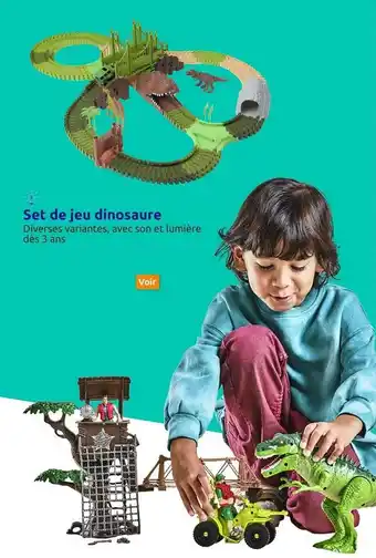 Set de jeu dinosaure