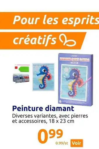 Action Peinture diamant offre