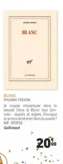 Auchan Blanc - sylvain tesson offre