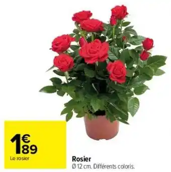 Carrefour Rosier offre