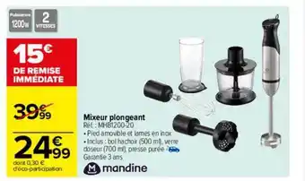 Carrefour Mixeur plongeant mandine offre