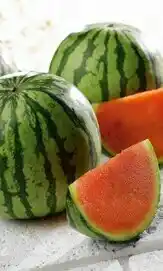 MINI PASTEQUE SANS PEPINS