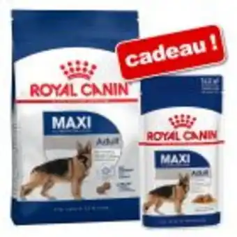 Zooplus Croquettes royal canin size 8 / 15 kg + sachets 12/10 x 85/140 g offerts ! offre