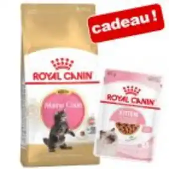Royal canin 3,5 ou 10 kg + 12 x 85 g de nourriture humide offerte !