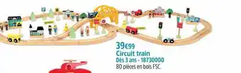 Circuit train