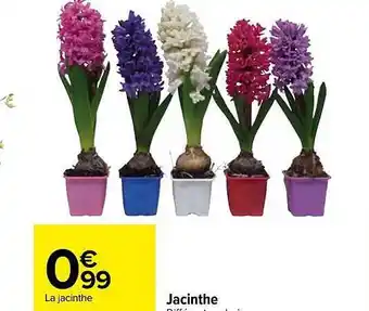 Carrefour Market Jacinthe offre