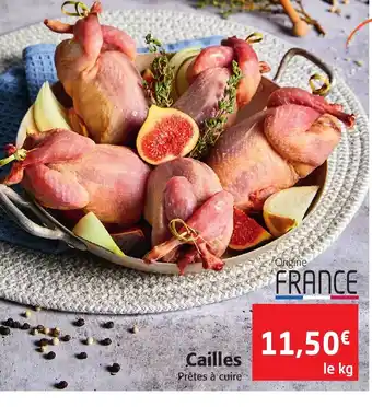 Cailles