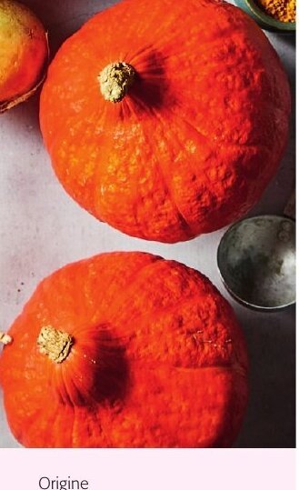Colruyt Courge Potimarron offre