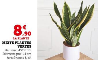 U Express Mixte plantes vertes offre