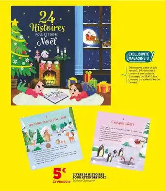 Livres 24 histoires pour attendre noël