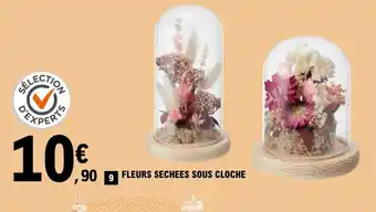 E.Leclerc Fleurs Sechees Sous Cloche offre