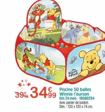Piscine 50 balles winnie l'ourson