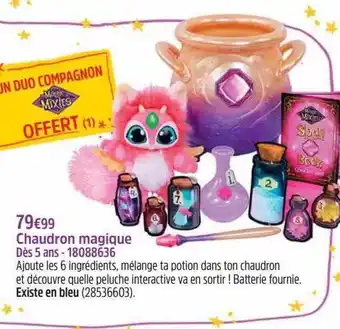 Chaudron magique