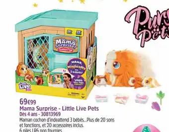 Mama surprise - little live pets