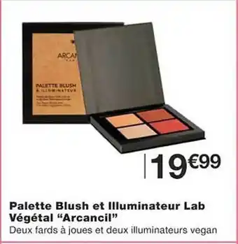 Palette blush et illuminateur lab végétal