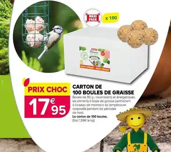 Jardiland Carton de 100 boules de graisse offre