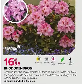 Jardiland Rhododendron offre