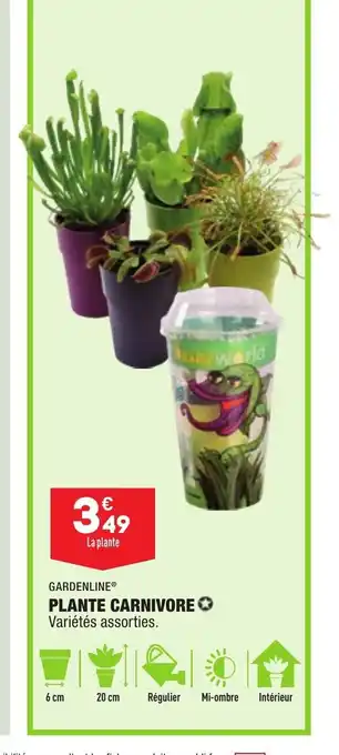 ALDI Plante Carnivore offre