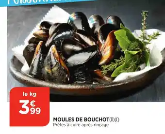 Moules de Bouchot