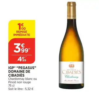 Bi1 IGP Pegasus Domains de Cibadiès offre