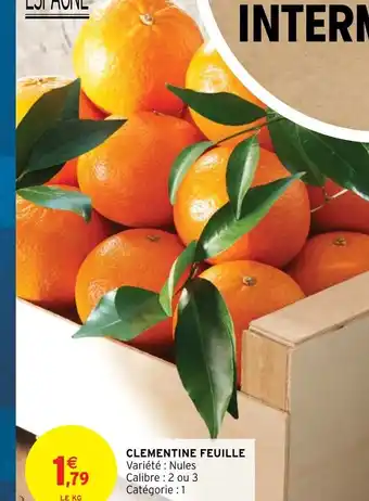 Intermarché Clementine Feuille offre