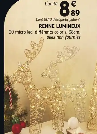 Imaginea Renne lumineux offre
