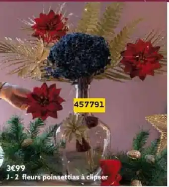 Gifi Fleurs offre