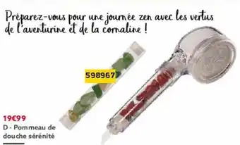 Pommeau de douche