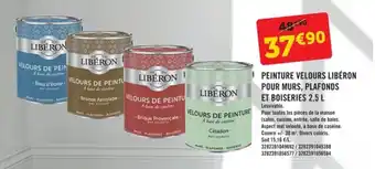 Peinture velours libéron pour murs, plafonds et boiseries 2,5 L